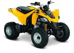 model_img_22_5560_ds250